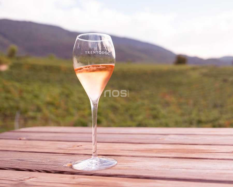 Dalla vigna al calice: il Trentino brinda alla sua vendemmia