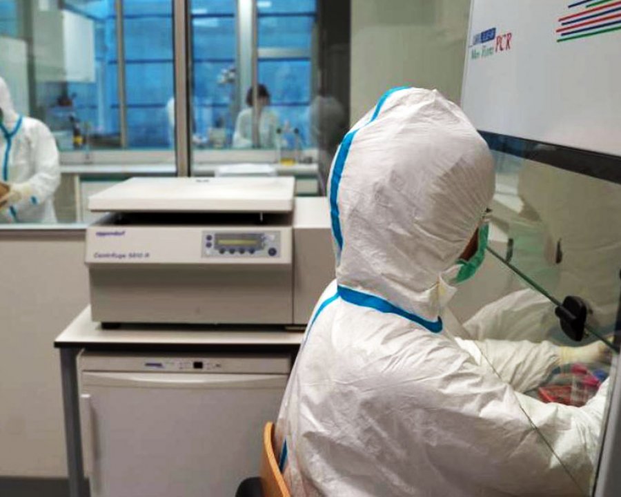 Eurac Research fa luce sui gruppi preistorici delle Alpi italiane orientali