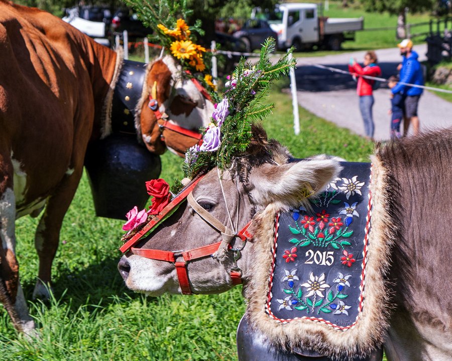 Torna Latte in festa