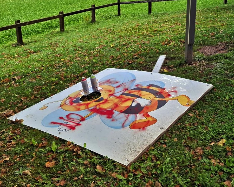 L'ape Romina distrutta a Romeno