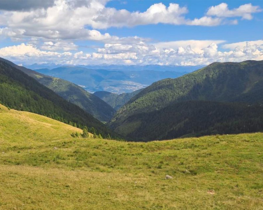 Precipitazioni e temperature superiori alla media storica