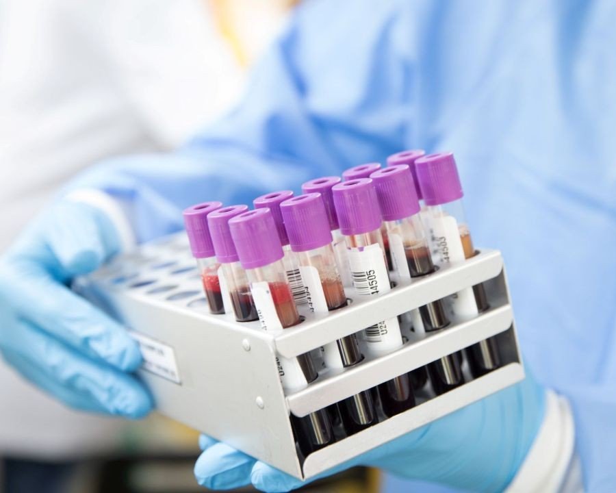 Trentino campione di solidarietà: secondo in Italia per nuove iscrizioni