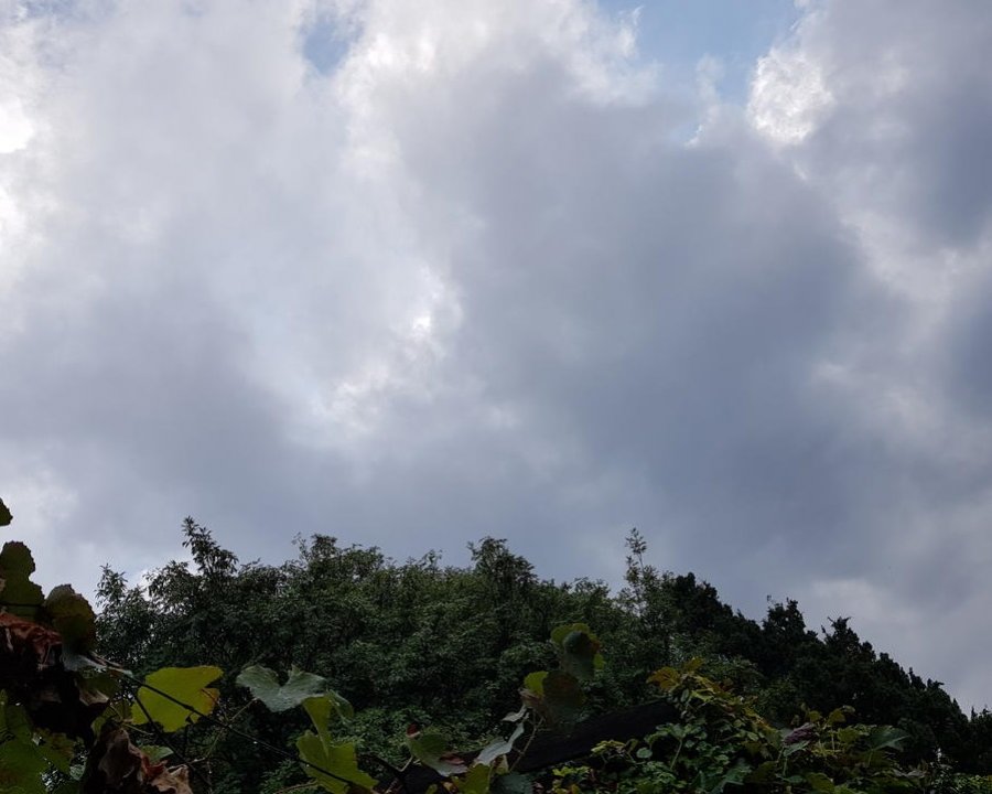 Arrivano precipitazioni e temperature in calo