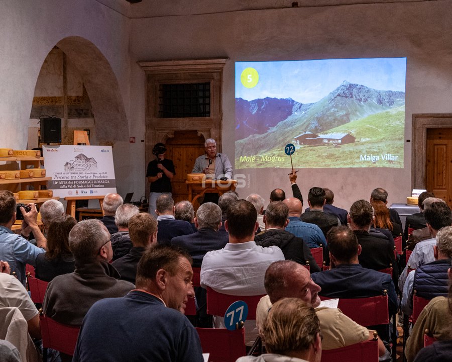 Asta dei formaggi di malga, dieci anni di sapori e identità