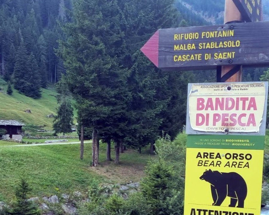 In Trentino girano bracconieri