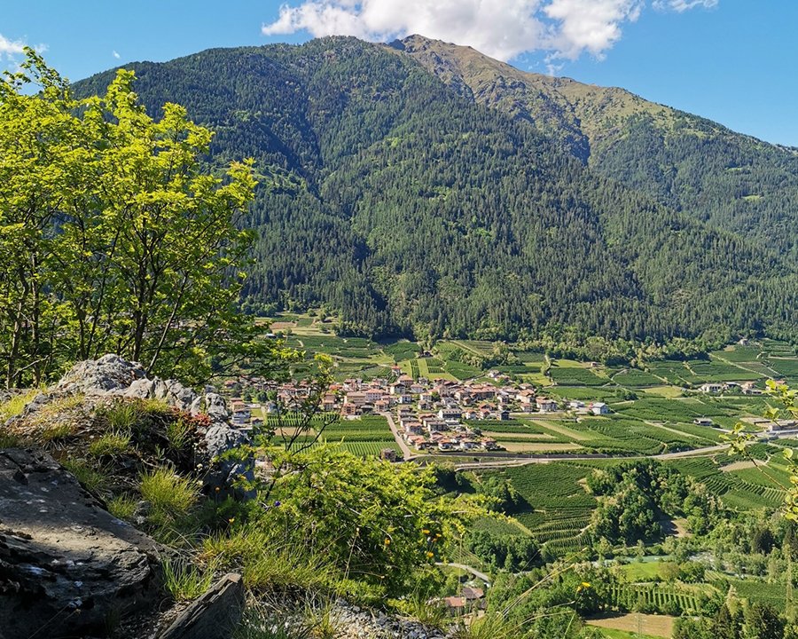 A Terzolas un Recovery College