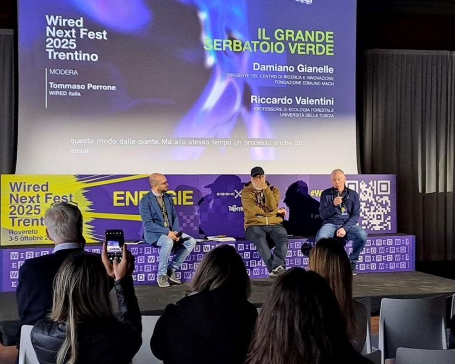 Foreste e agrosistemi, le batterie verdi del pianeta