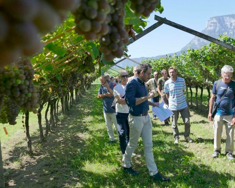 Quinta Rassegna dei Vini Piwi, iscrizioni aperte