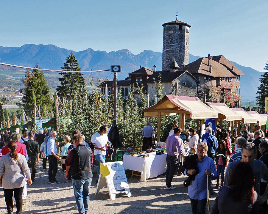 Torna ‘Formai dal Mont’: il gusto autentico delle malghe trentine a Tassullo