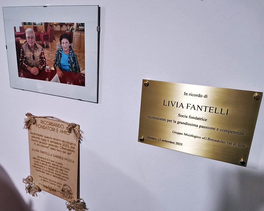 Dimaro, il Gruppo micologico ha una nuova sede
