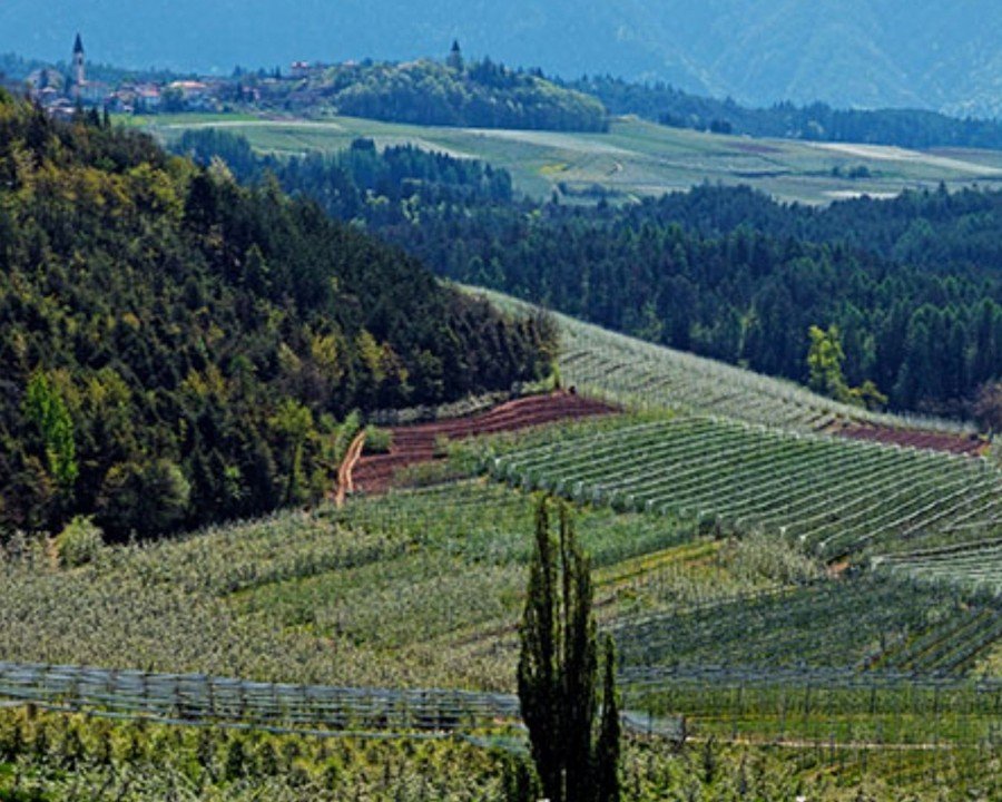 Frutticoltura e biodiversità: a Sporminore si dialoga sul futuro del paesaggio