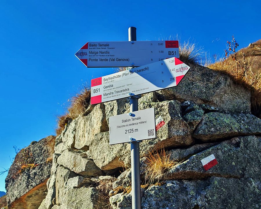 Il nuovo canale Telegram del Parco Naturale Adamello Brenta