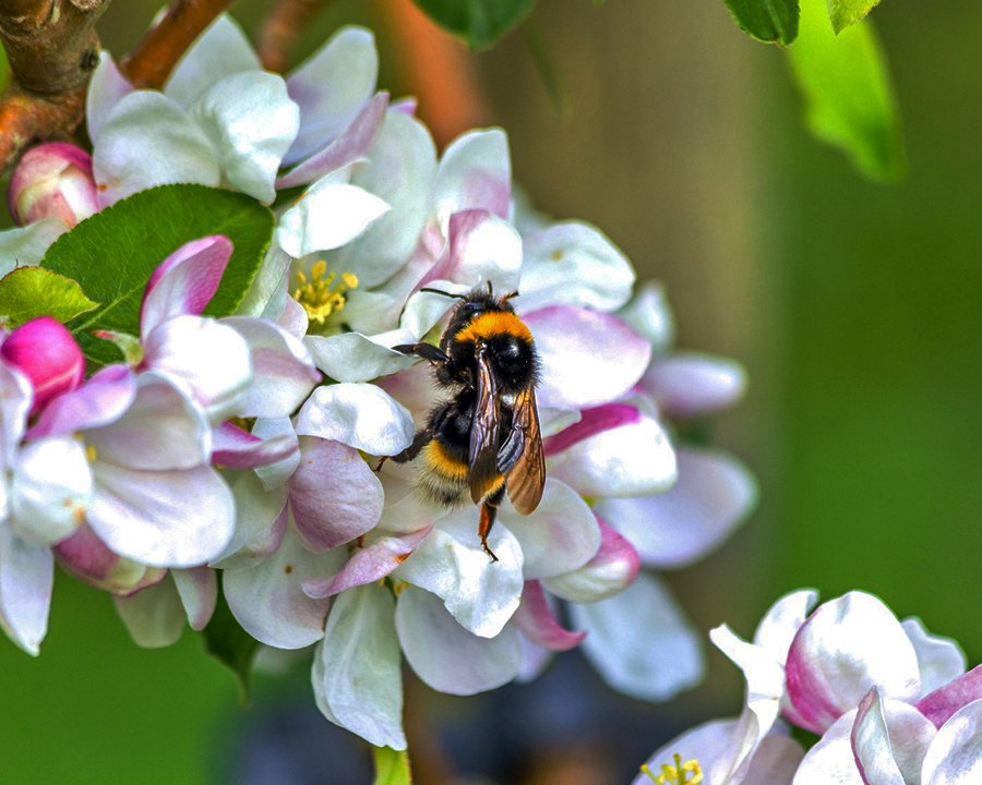 A Sporminore i martedì del Parco