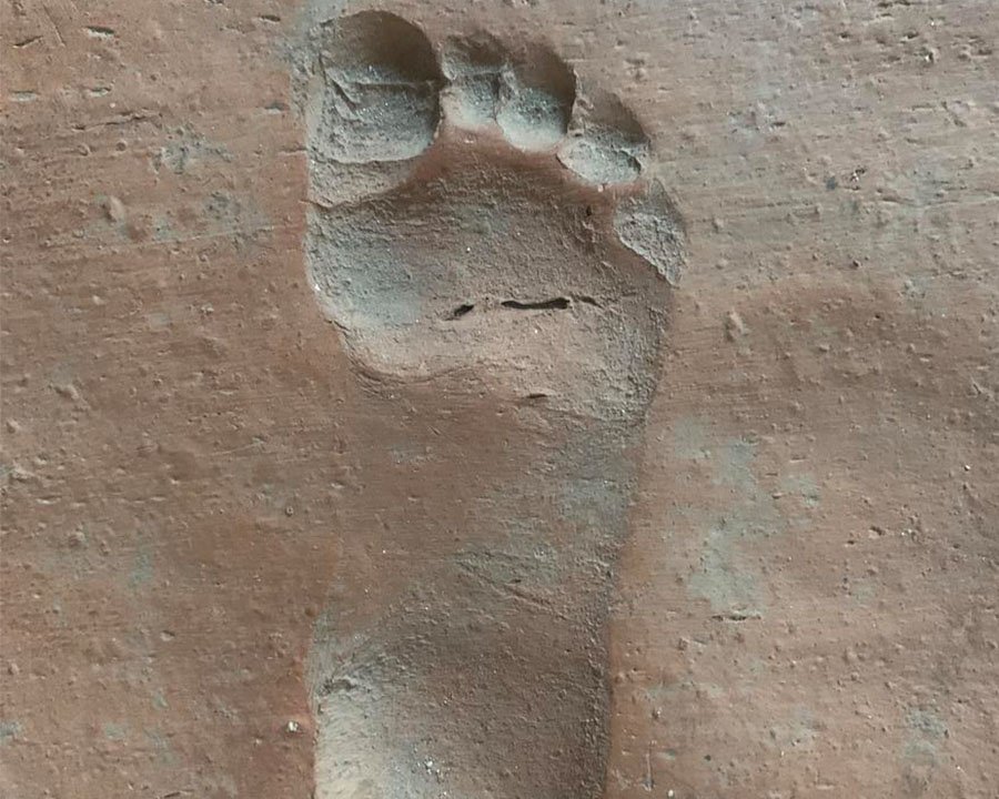 La sala dedicata alla scultura di età romana riapre vestita di nuovo