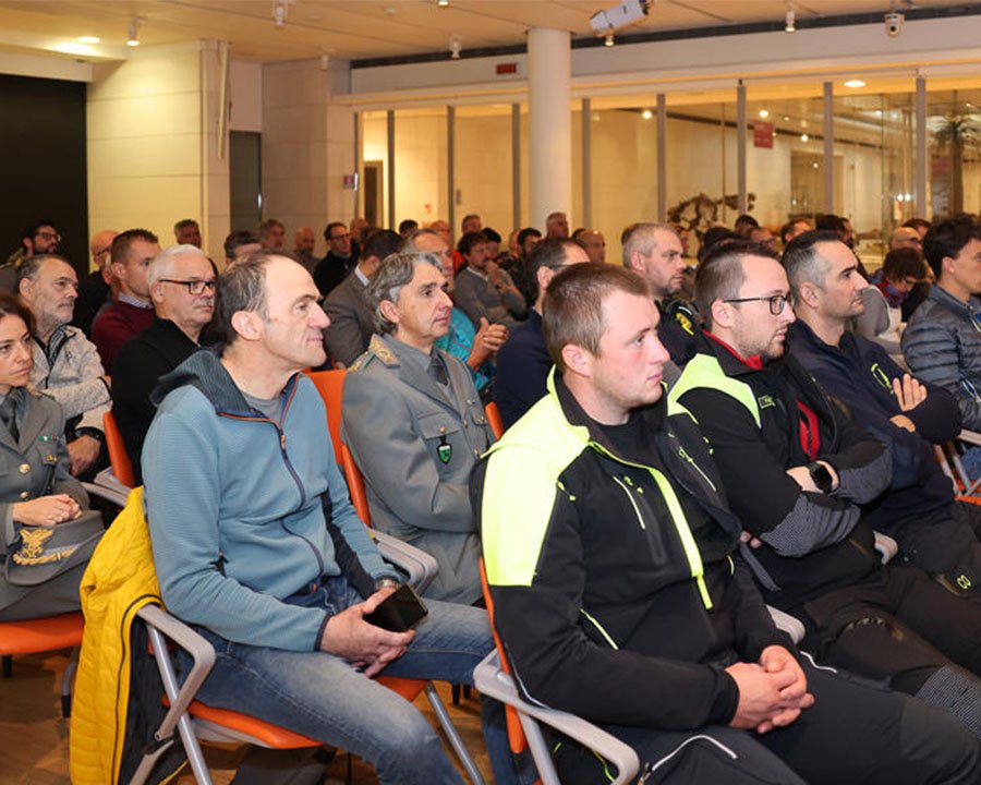 Incendi, verso il nuovo Piano per la difesa dei boschi