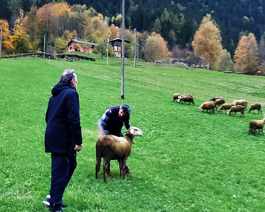 Gli allevatori custodi protagonisti all'Università