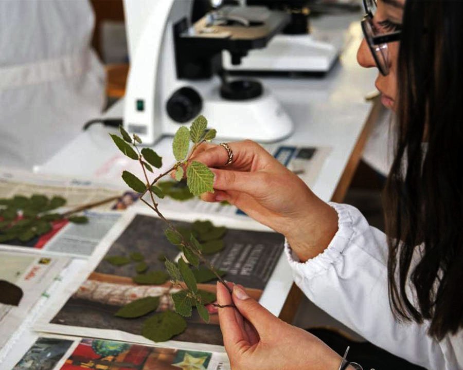 ‘Agricoltura trentina: dalla sussistenza all’eccellenza’, appuntamento a San Michele all’Adige