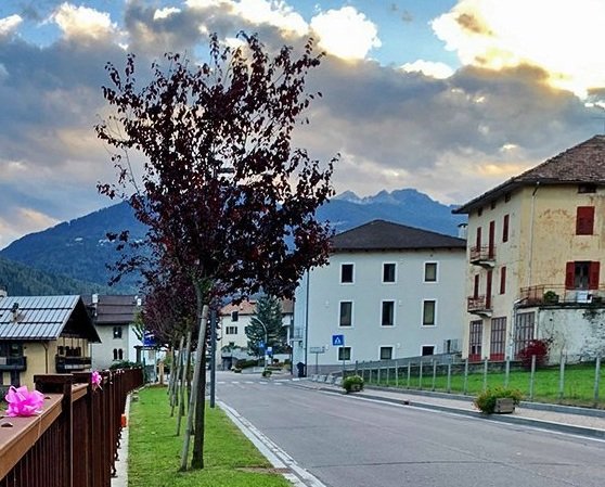 Presepi e alberi per scoprire Croviana