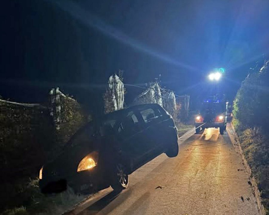 Auto da recuperare e animali investiti