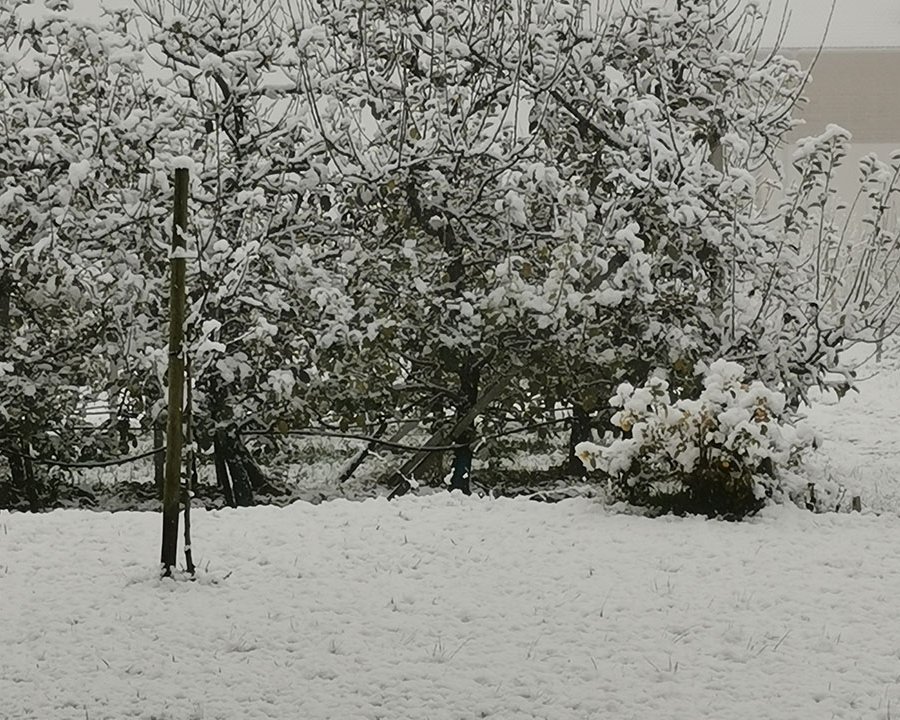 Meteo: neve a 600-700 metri