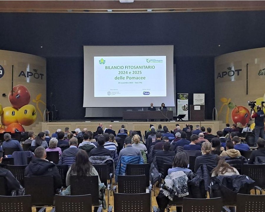 Protezione di melo e pero, 250 esperti del Nord Italia a confronto