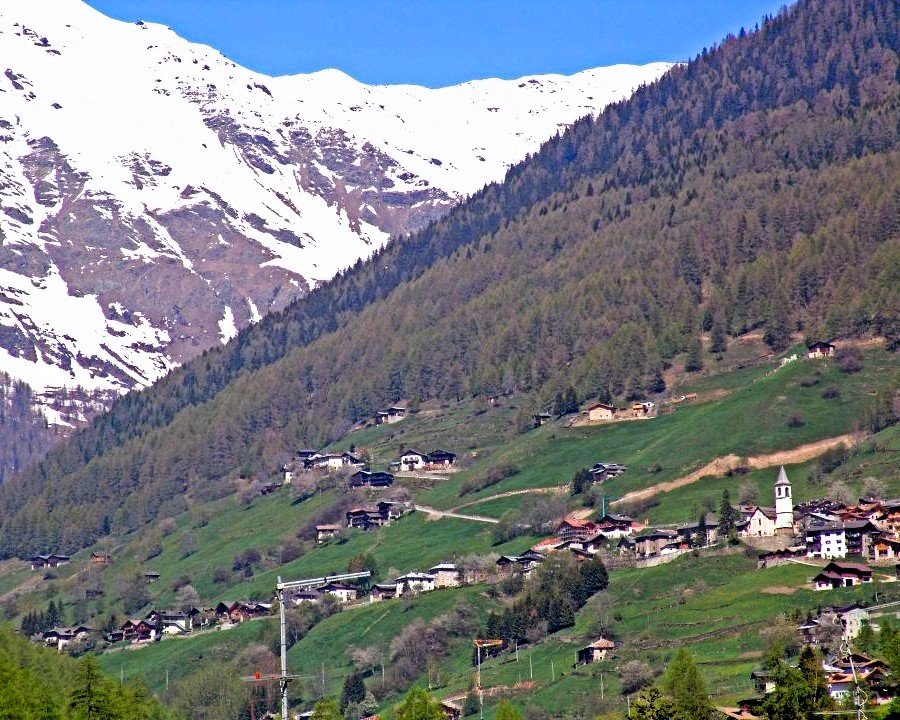 Un nuovo percorso del latte e dei masi in Val di Rabbi