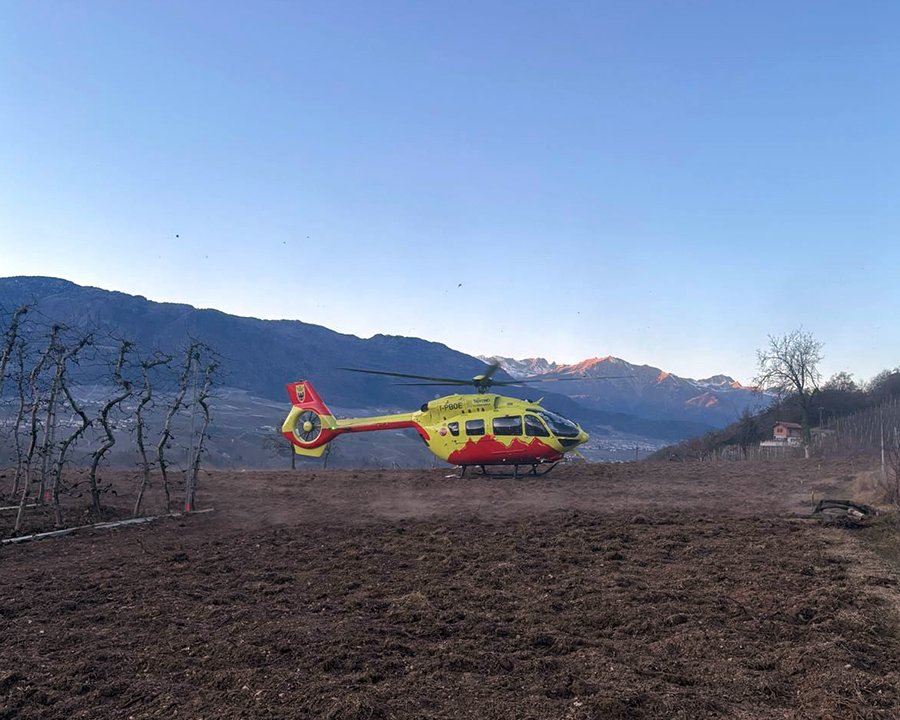 Torra, persona investita