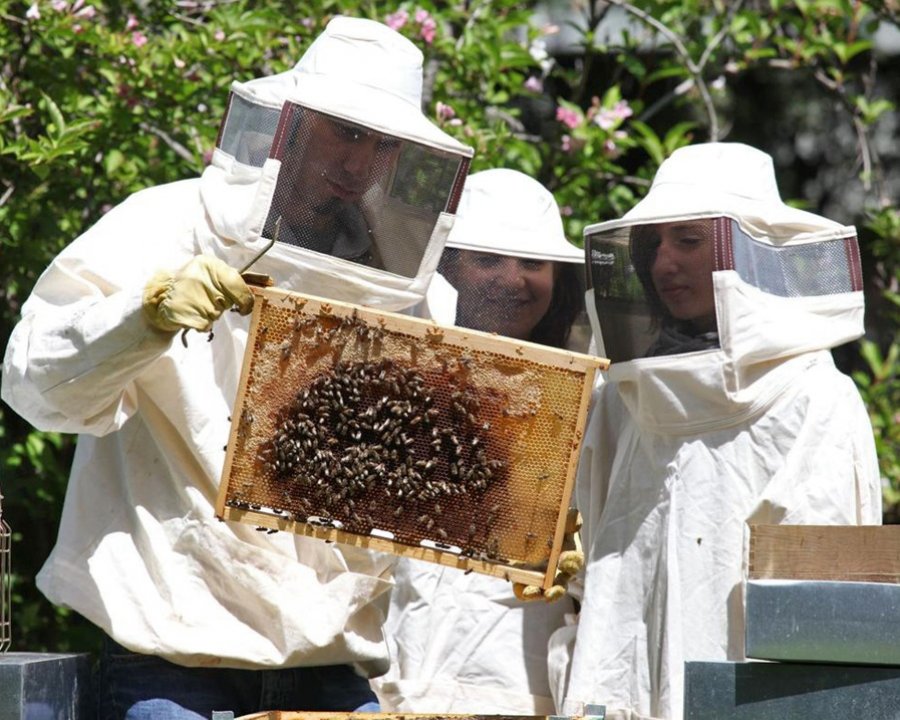 FEM, iscrizioni aperte all'istruzione tecnica e professionale