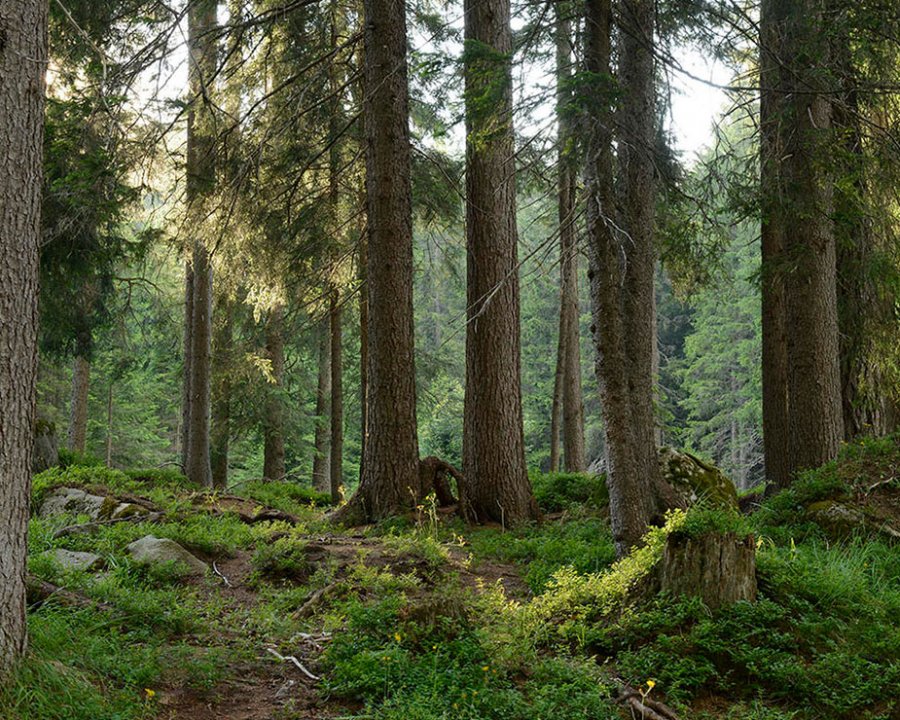 Più attenzione a chi vive la montagna