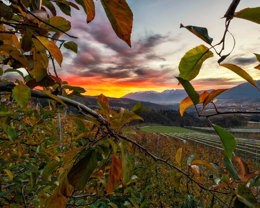 Melinda, segnali positivi in uno scenario incerto