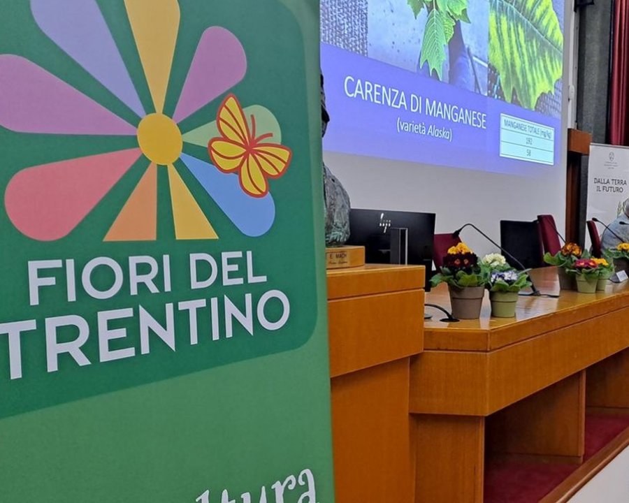 Floricoltura trentina tra innovazione e sostenibilità