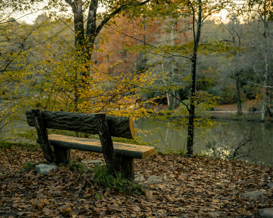 Storie sulle panchine della Val di Non