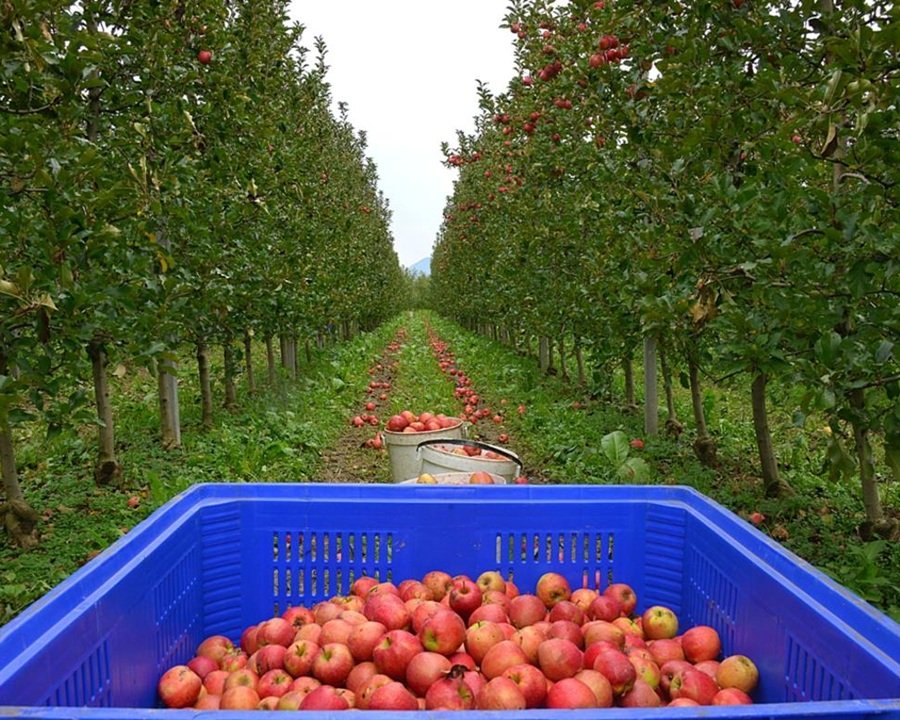 Per un’agricoltura più sicura, trasparente e competente