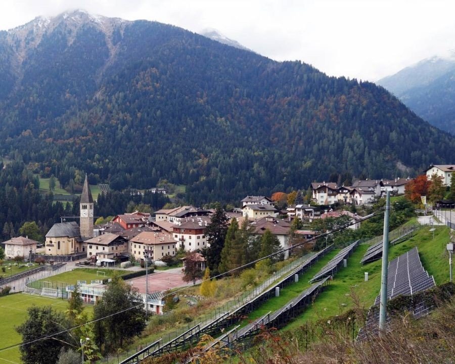 La mimosa diventa racconto