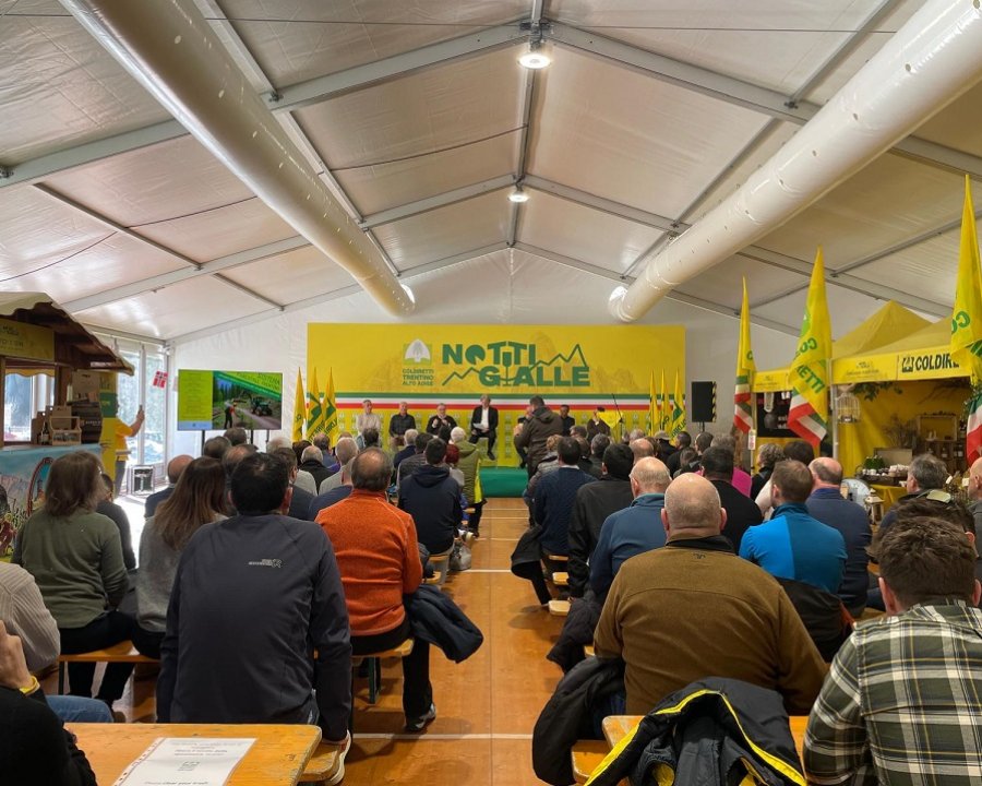 Il 62% del Trentino-Alto Adige occupato da boschi