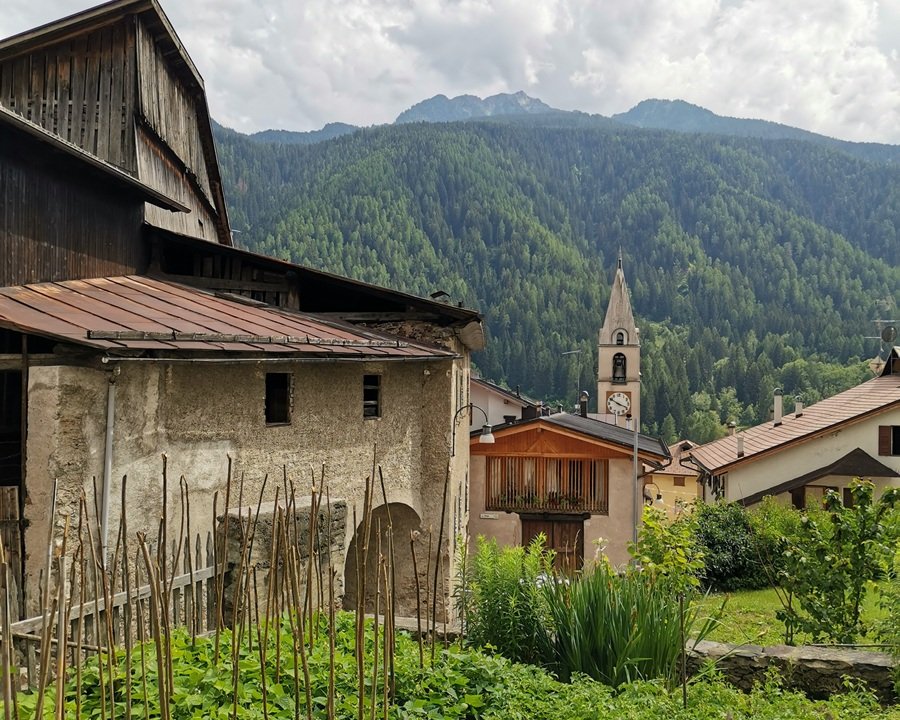 Trofei della fauna alpina a Mezzana