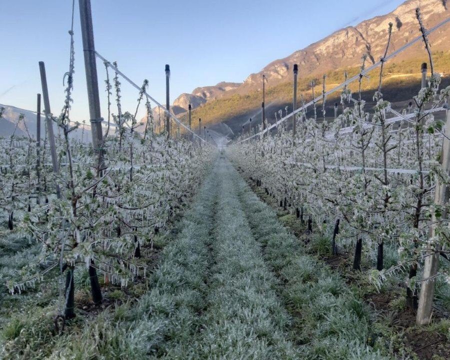 Temperature in calo e rischio gelate: l’avviso di Meteotrentino