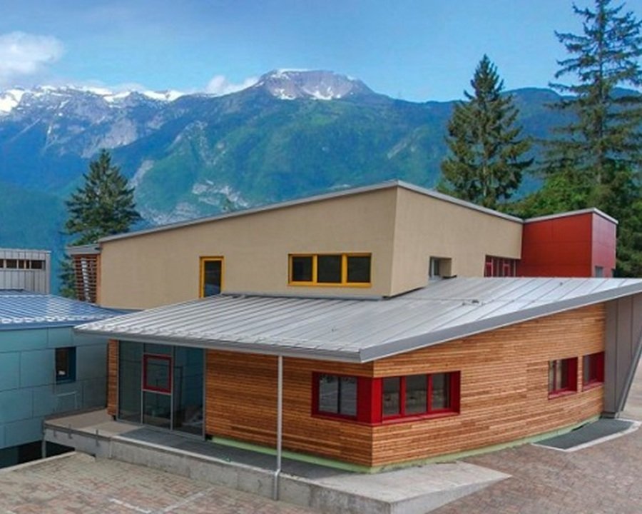 Il sogno di un’impronta vegetale