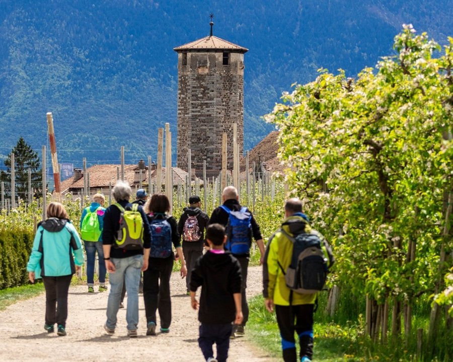 Torna la Quattro Ville in fiore